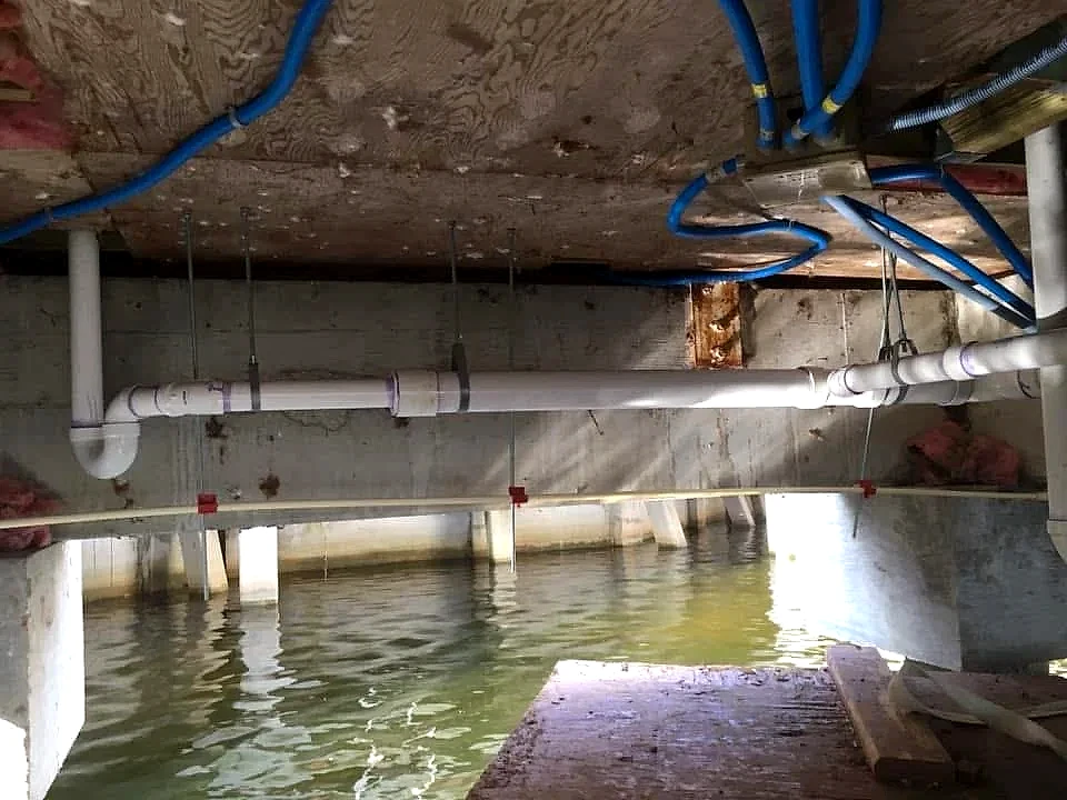 PVC drain line repair under a raised house over tidal water, South Florida
